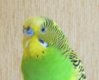 IMG_0636 1.jpg
