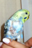DSCN3463.JPG