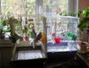 P1010015.JPG