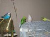 P1010007.JPG