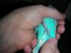DSCN7022.JPG