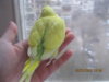 _var_www_s1_temp_12_330_11_6LdpviSAwzniXjL6hBa1.jpg