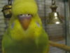 _var_www_s1_temp_12_333_17_4djxHHMUM5hEdRAQ5.jpg