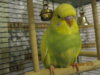 _var_www_s1_temp_12_333_17_w9HKSv8mH3iEF.jpg