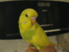 _var_www_s1_temp_12_337_6_1oF9EQcCsejlTXj4Acum.jpg