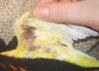 S8309427.JPG