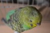 DSC_0622.JPG