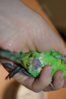 DSC_0641.JPG