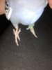 20130221_174008.jpg