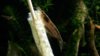 20160526_192421.jpg