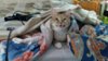 20160524_113545.jpg