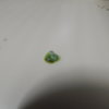 DSCN4993.JPG