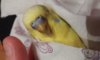 20160601_021917.jpg