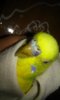 20160601_015837.jpg
