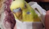20160601_020038.jpg