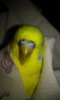 20160601_022136.jpg