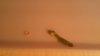 20160603_111901.jpg