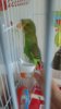 20160603_101801.jpg