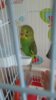 20160603_101757.jpg