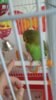 20160603_101813.jpg