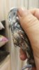 20160602_205729.jpg