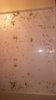 20160603_235217.jpg