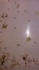20160603_235232.jpg