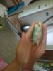 IMG-20160604-WA0002.jpg