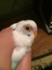 image.jpeg