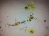 20160605_221143.jpg