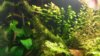20160610_172218.jpg