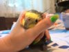 IMG_20160712_085851.jpg