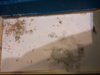 IMG_20160713_005805.jpg