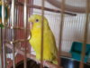 20160718_140335.jpg