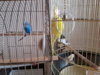 20160720_095001.jpg