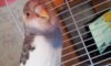 20160724_140142.jpg
