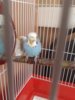 20160725_102756.jpg