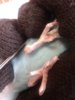 20160712_150033.jpg