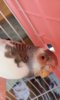 20160725_152055.jpg