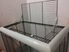 20160727_135550.jpg