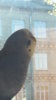 20160806_175737.jpg