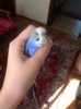 image.jpeg