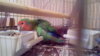 IMG_20120101_024410.jpg
