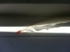 IMG-20160814-WA0000.jpg