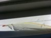 IMG-20160814-WA0001.jpg