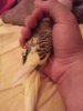 IMG-20160714-WA0012.jpg