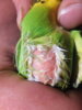 DSCF4809.JPG