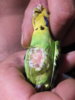 DSCF4813.JPG