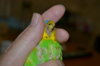 DSC_0007.JPG