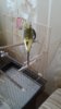 20160829_094712.jpg
